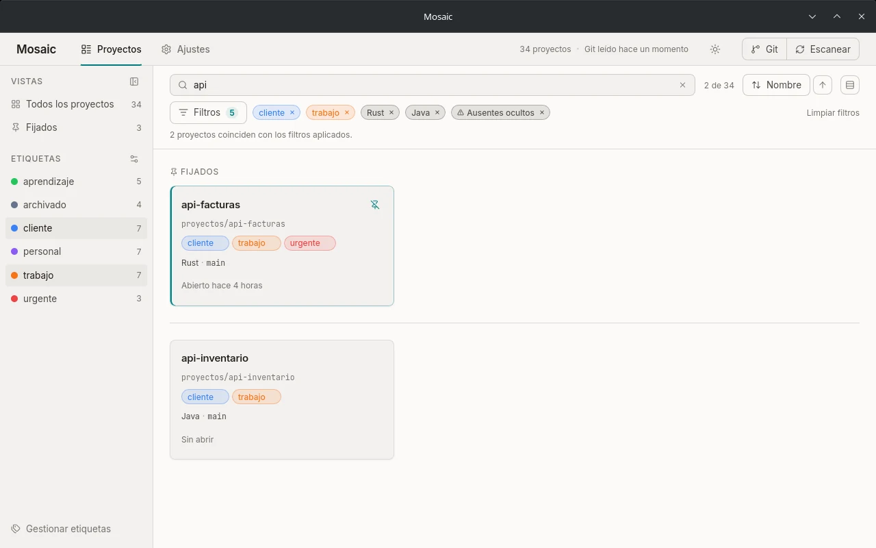 Búsqueda «api» con cinco filtros activos y el aviso de que coinciden dos proyectos